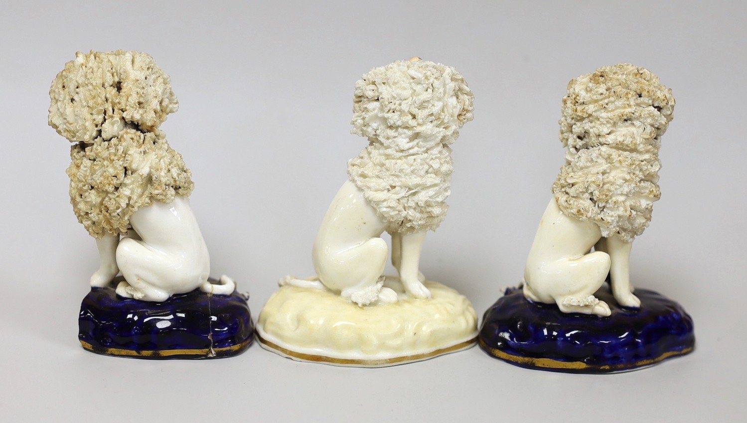 Three small Samuel Alcock models of seated poodles, c.1830-50, tallest 9cms high, Provenance: Dennis G.Rice collection